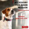 Nylon Dog Collar Adjustable for Large Dogs Small Medium Dogs 9-14 inch Neck x 3/5 inch Wide Breakaway Collars for Boy Girl Dog with Durable Plastic Bu