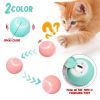 Smart Pet Toys For Dog ; Automatic Rolling Ball Electric Toys; Interactive Ball Toys;  dog toys